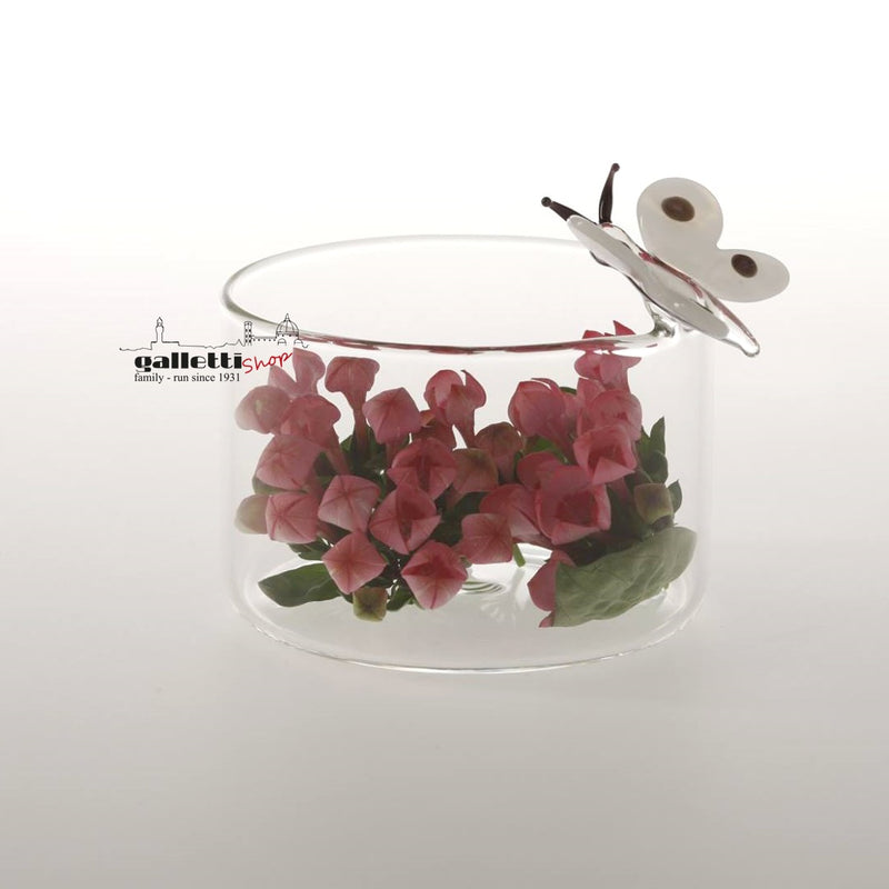 Massimo Lunardon Butterfly bowl Brio | Gallettishop