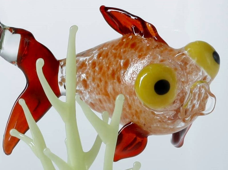 Massimo Lunardon Aquarium Crybaby fish water Pitcher