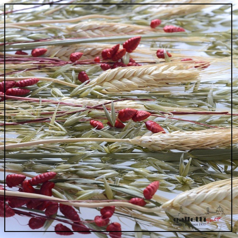 Salad Server Set Wheat in Red Collection - Riccardo Marzi